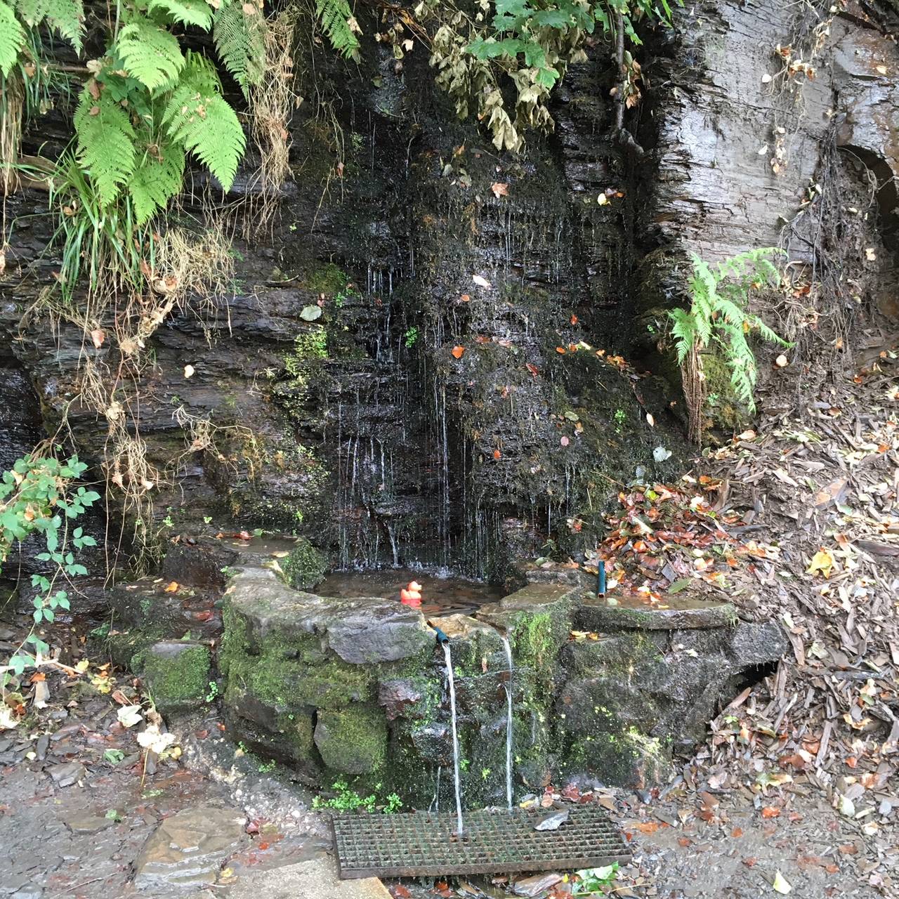 Die kleine rote Radio Essen-Badeente Erna schwimmt in einem runden Felsvorsprung in den Wasser aus der Felsenquelle in Kettwig fließt.