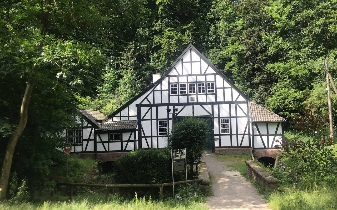 Das weiße Fachwerkhaus des Halbachhammers im Essener Stadtteil Fulerum, umgeben von Bäumen.