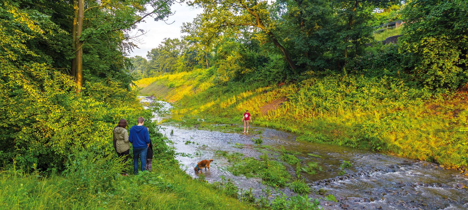 Der kleine Borbecker Mühlenbach mit viel Wiese drumherum und ein paar Menschen, die mit ihrem Hund spazieren gehen.