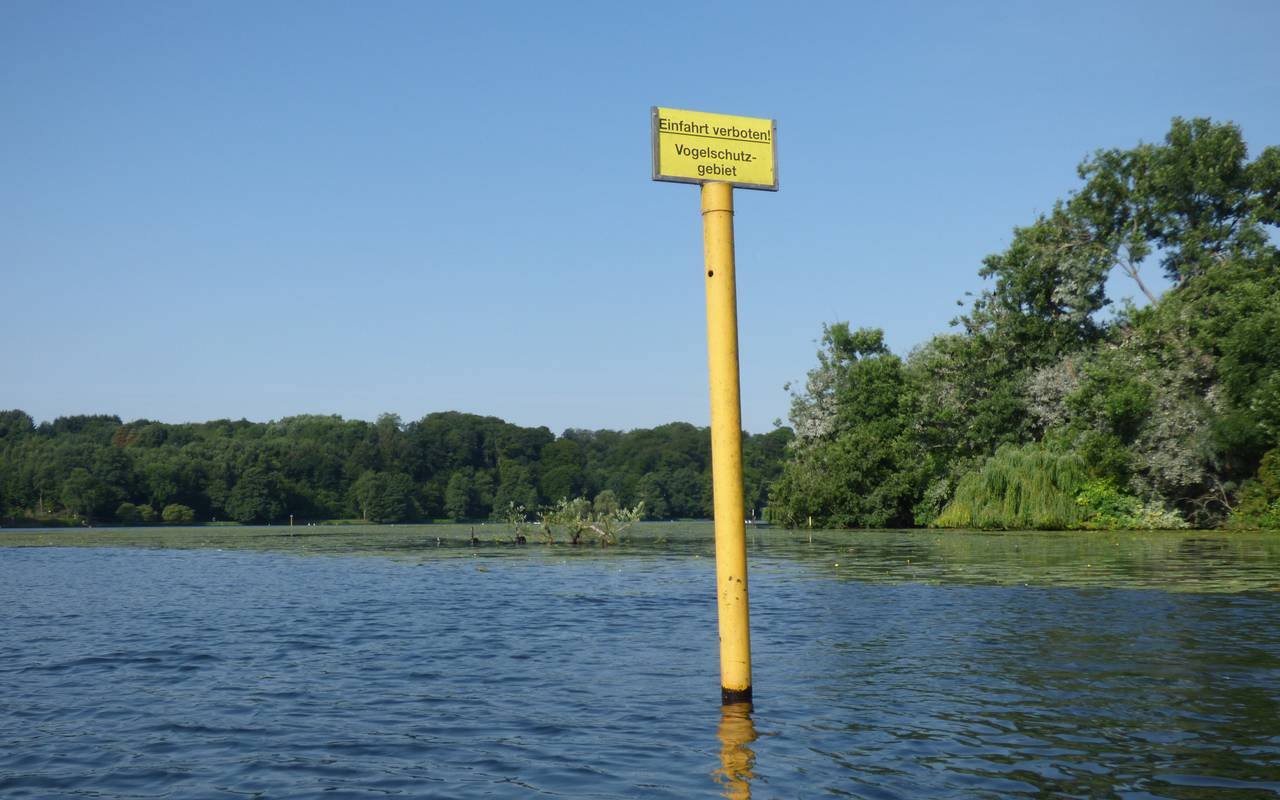 Im Wasser ragt ein gelbes Schild hoch auf dem "Vogelschutzgebiet" steht, dahinter sind Wiesen und Wald.
