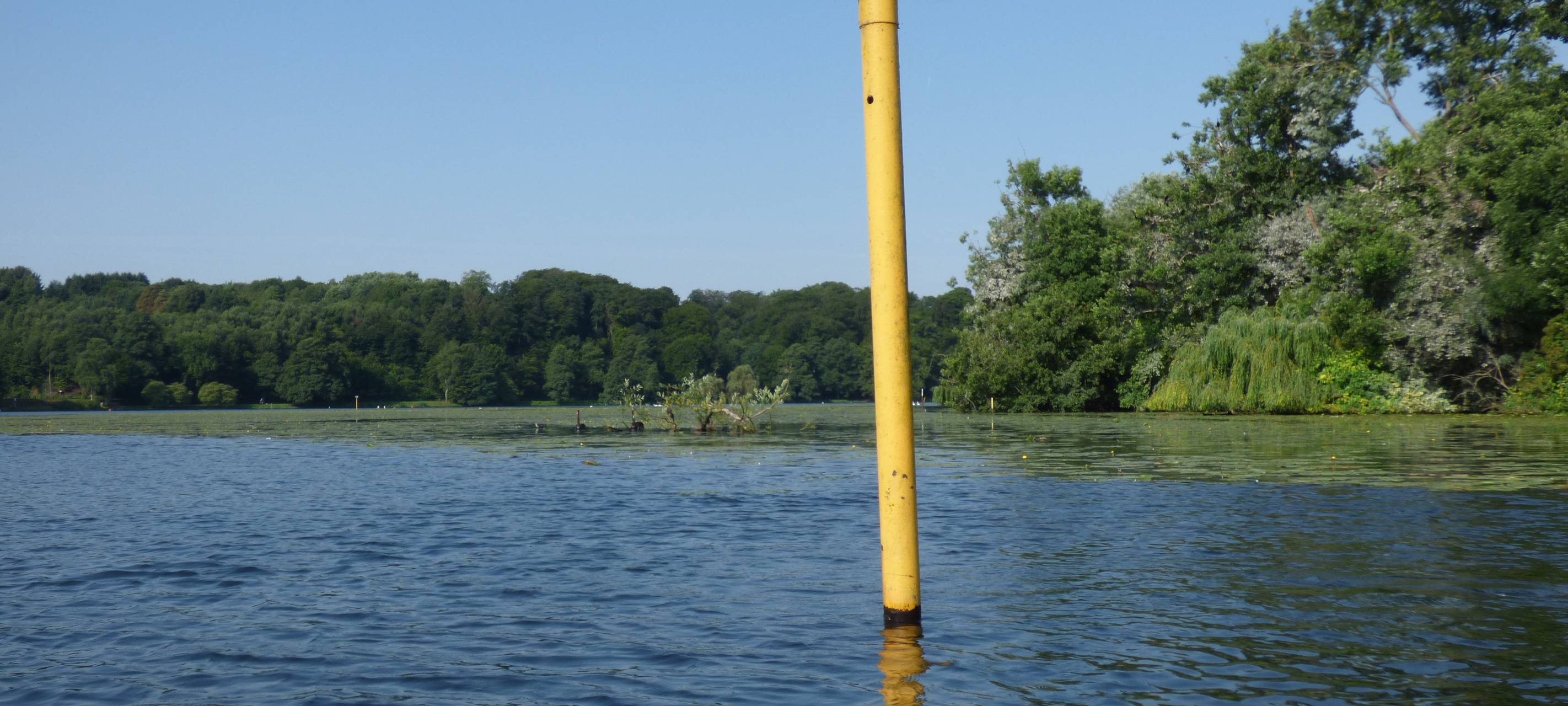 Im Wasser ragt ein gelbes Schild hoch auf dem "Vogelschutzgebiet" steht, dahinter sind Wiesen und Wald.