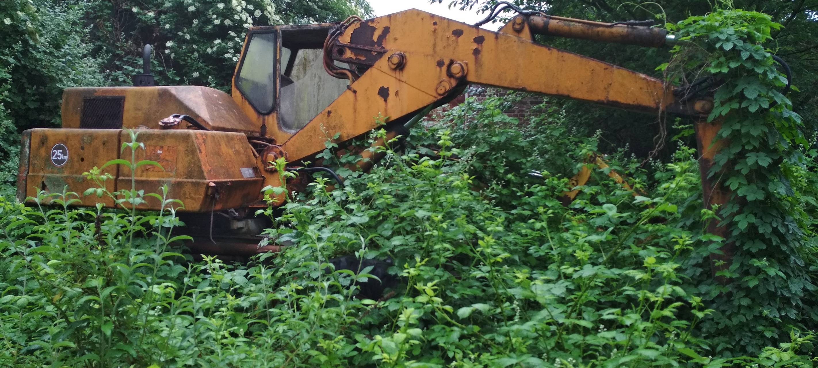 Ein gelber großer Bagger steht mitten in einem Gebüsch, von Efeu umgeben und schon recht verrostet.