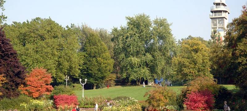 Der Grugapark mit Wiese, Bäumen und vielen bunten Blumen.