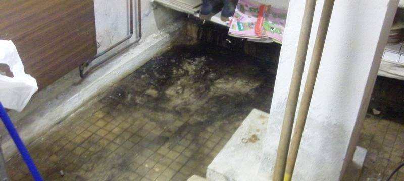 Nasser, verschimmelter Keller in Essen-Karnap