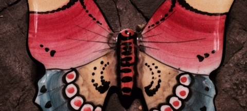 NABU in Essen bittet um Zählung von Schmetterlingen