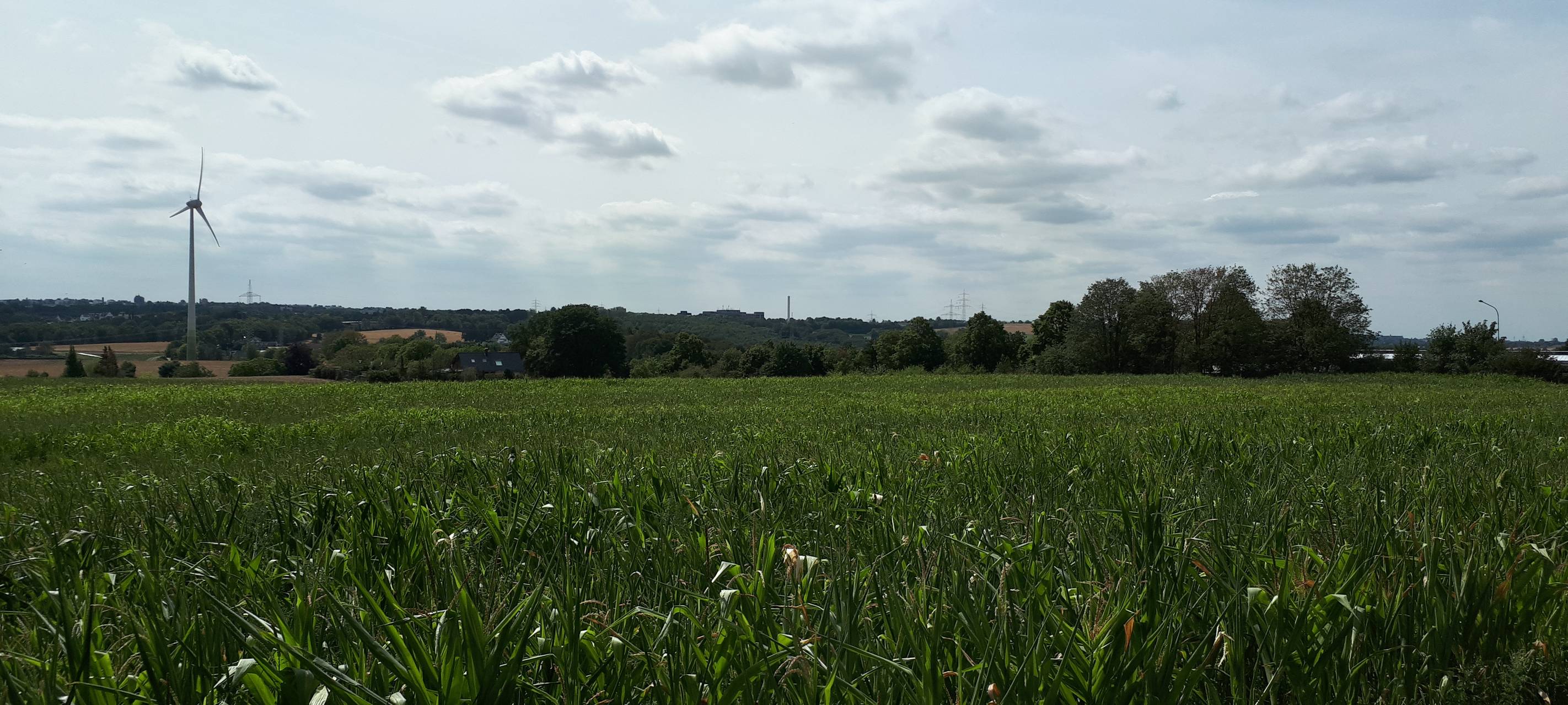 Nur wenige Wolken. Die Aussicht von Heidhausen über Essen ist schön
