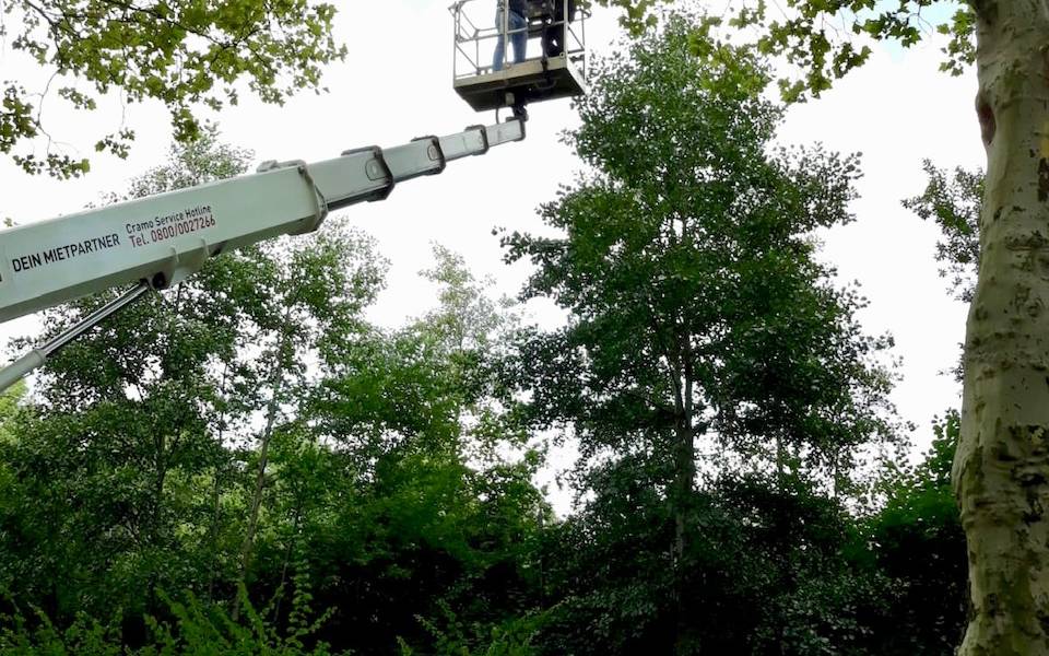 Radio Essen-Reporter Marcel Kleer schaut mit einem Baumbegutachter in 25 Metern Höhe nach einer Baumkrone. Sie stehen auf einem Kran.