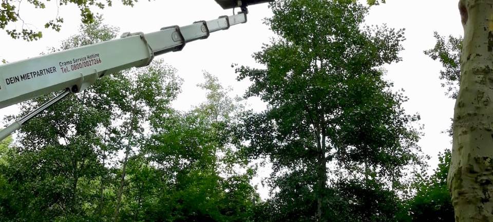 Radio Essen-Reporter Marcel Kleer schaut mit einem Baumbegutachter in 25 Metern Höhe nach einer Baumkrone. Sie stehen auf einem Kran.