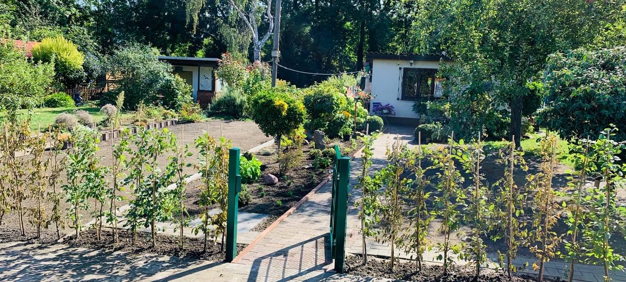Helgas neuer Garten in Altenessen