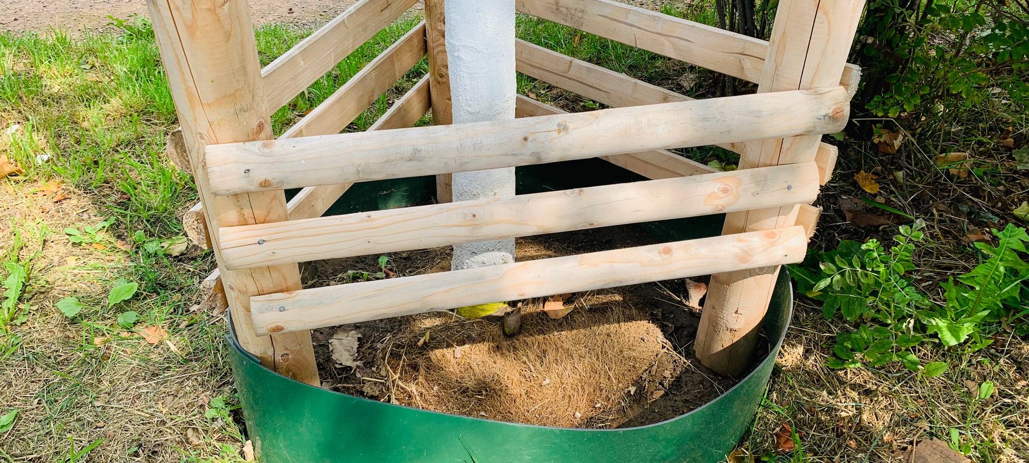 Jungbaum in Essen soll das Wasser in einem Auffangbecken ideal speichern