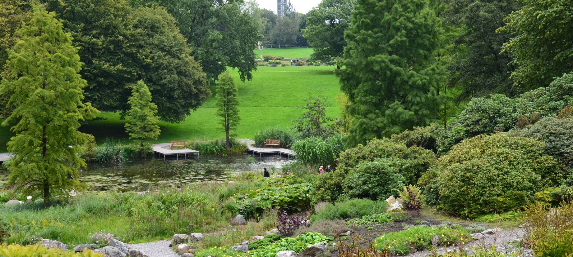 Dahlienwiese Grugapark