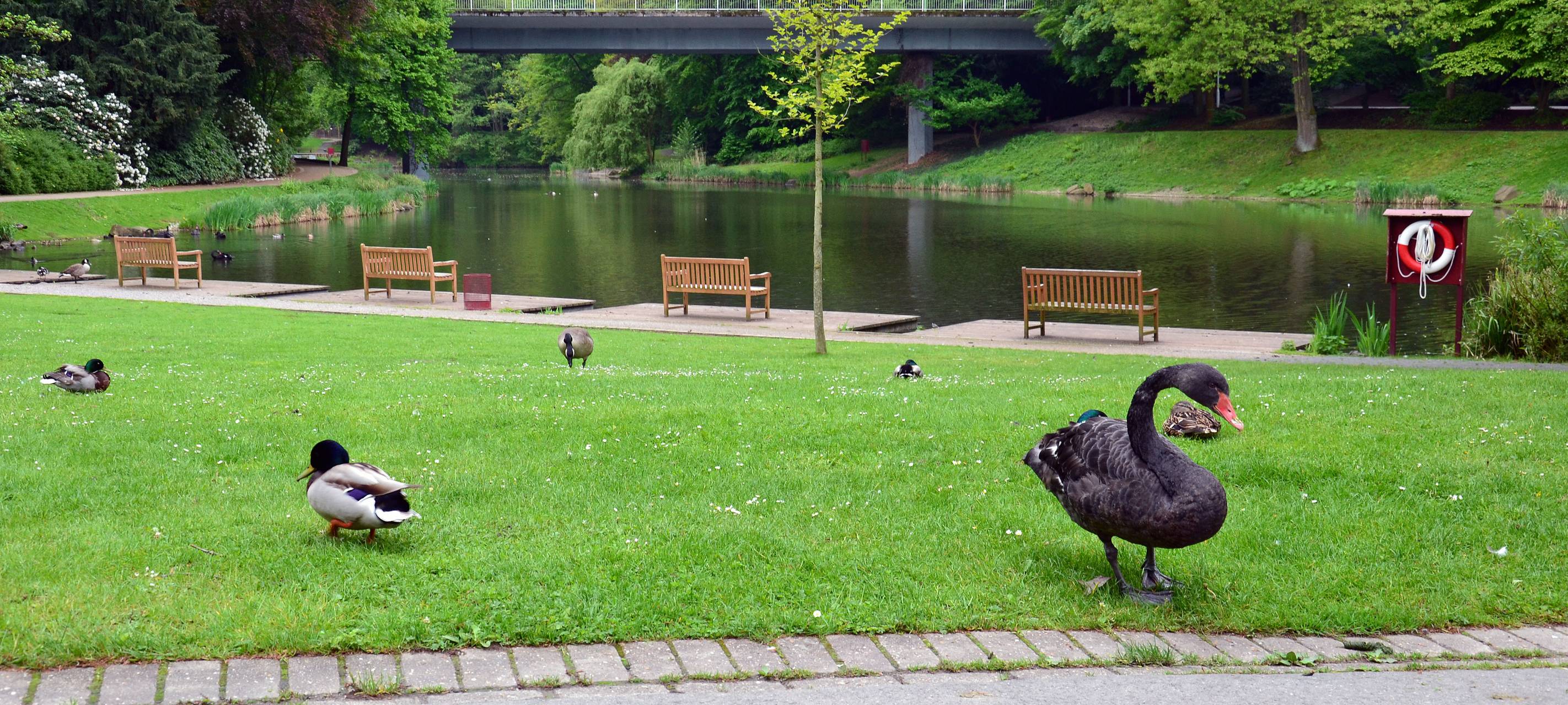 Grugapark Margarethensee