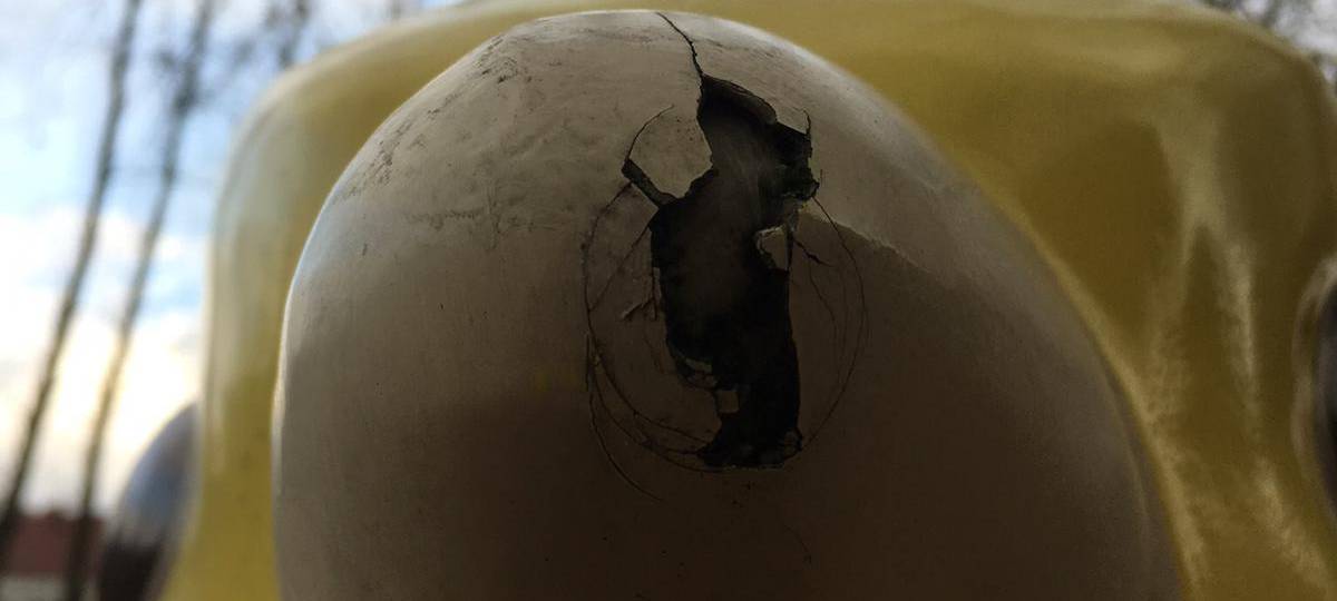 Auch der Schnabel wurde beschädigt