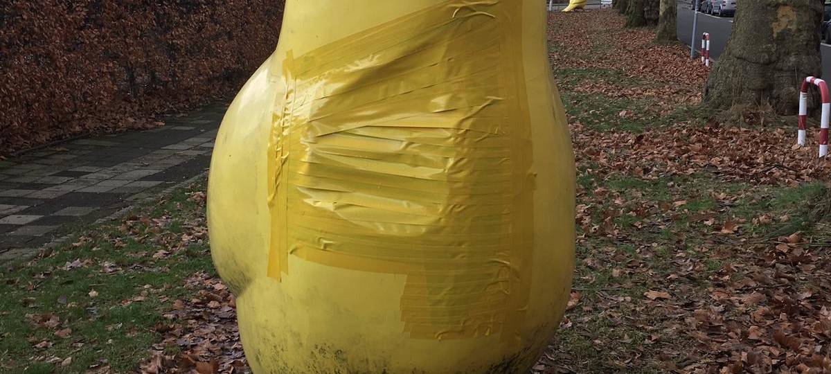 Beschädigter Kanarienvogel