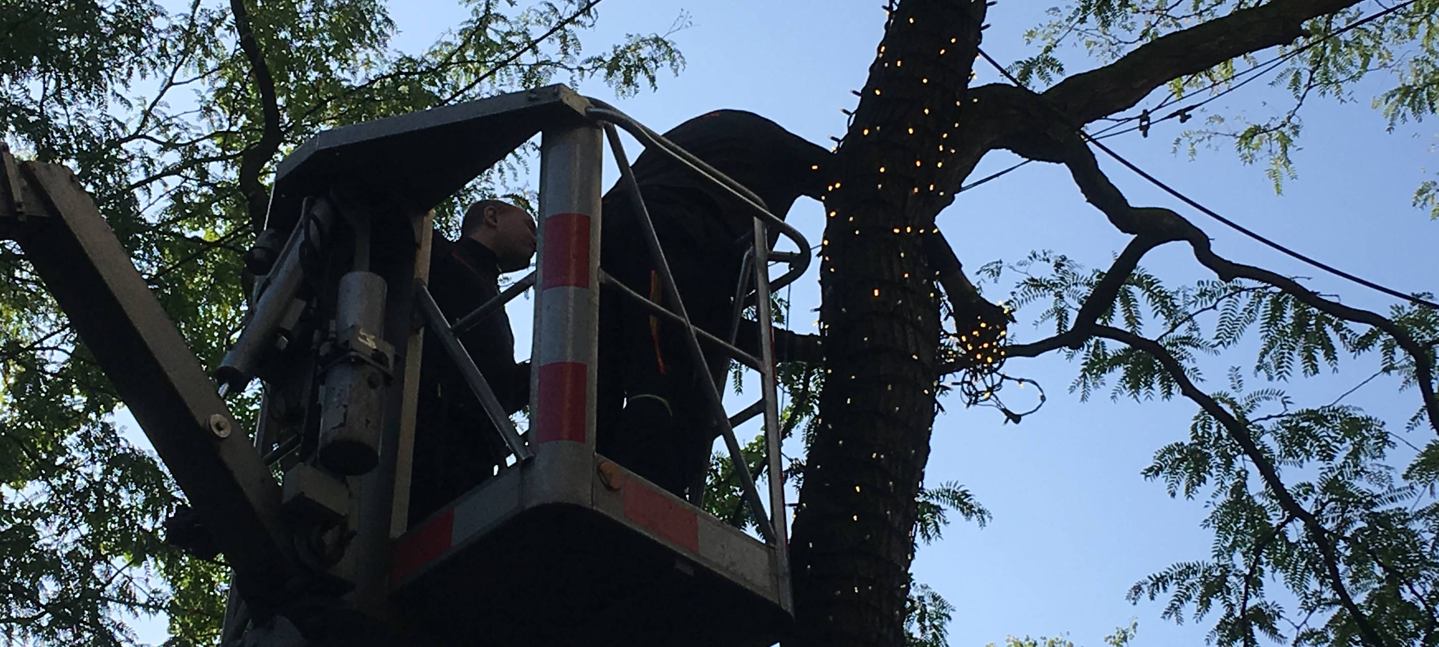 Montage Lichterketten in Essen