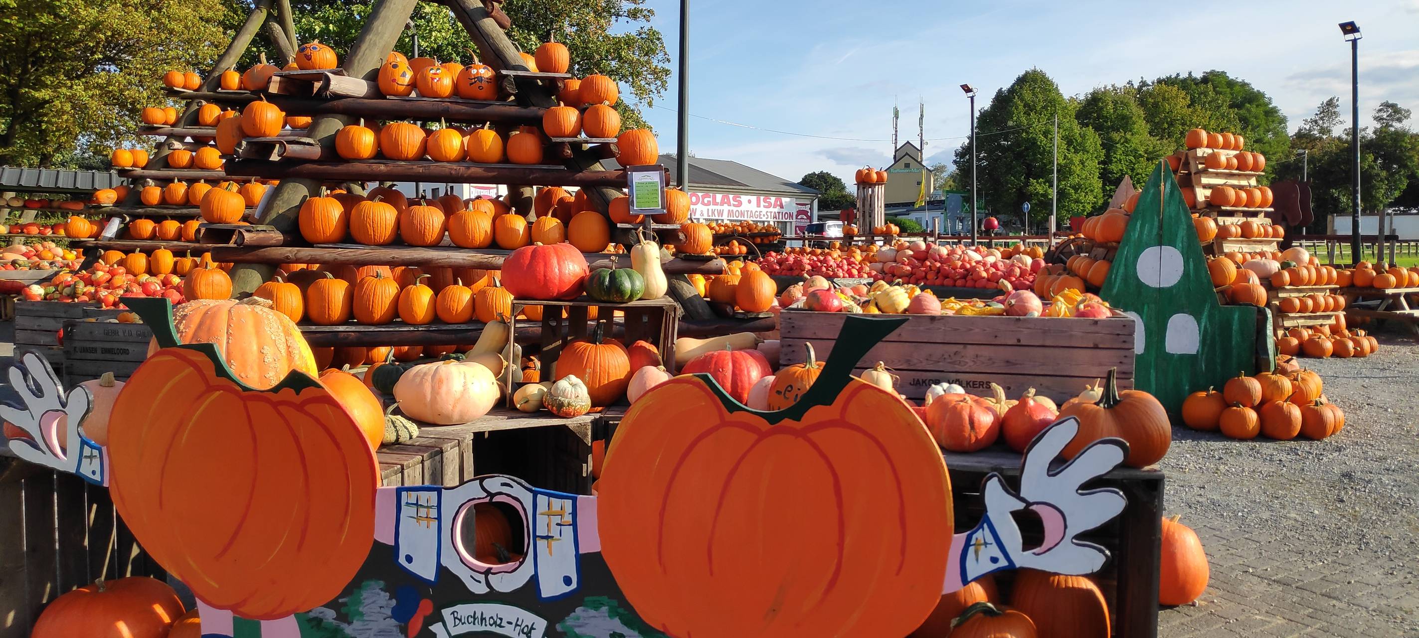Ernte in Essen besser als gedacht