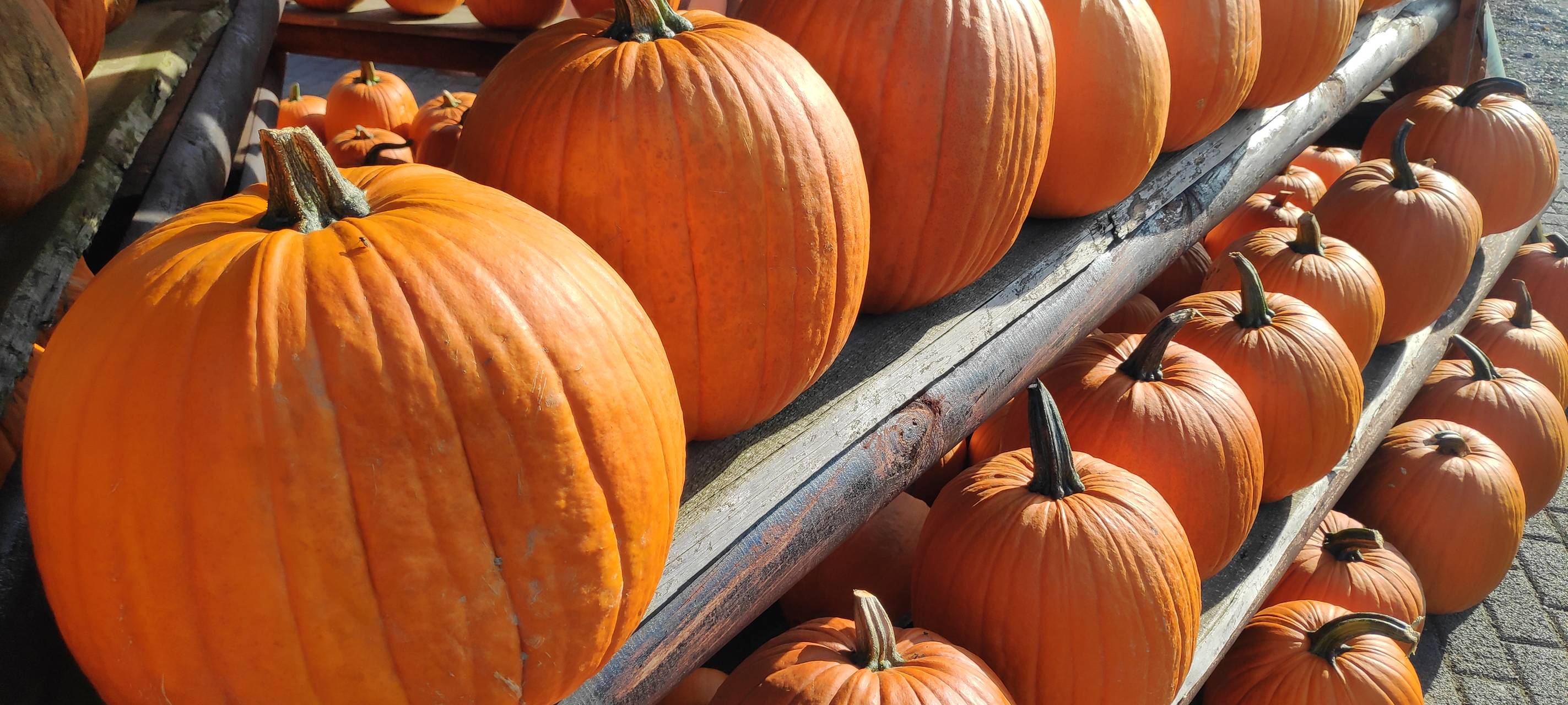 Essen: Lauschgericht zum Vorlesetag