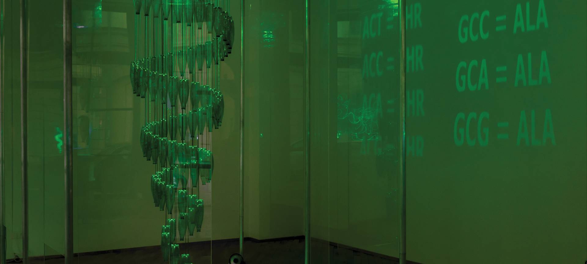 Essen Light Festival bei Radio Essen: Bilder und Sendung