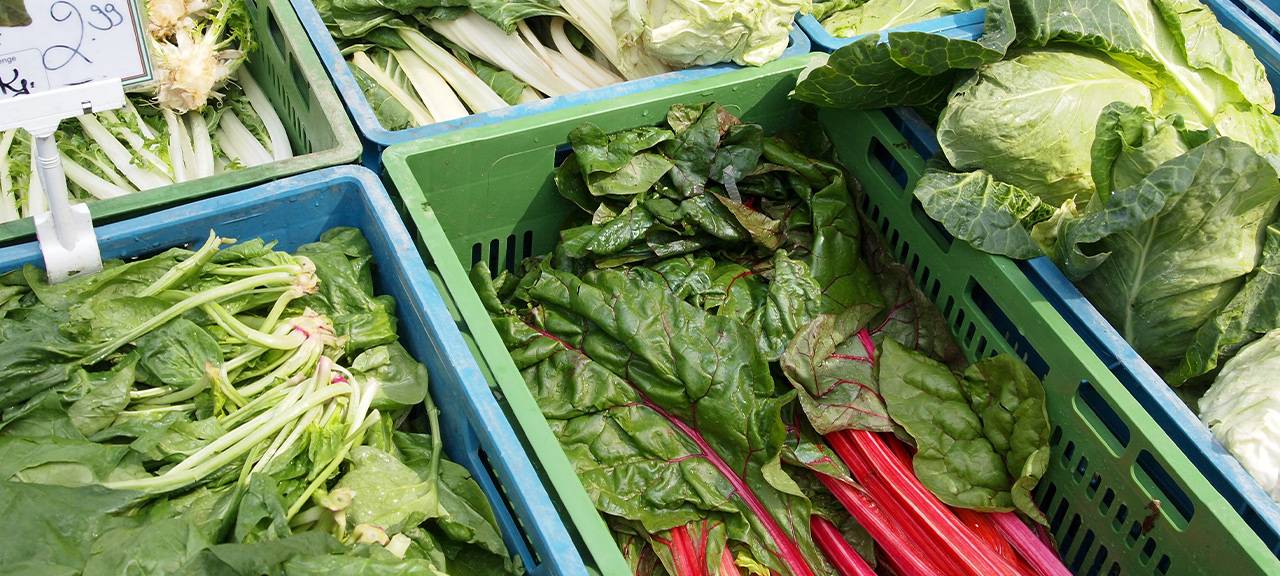 Ernährungsrat Essen setzt sich für gesünderes und nachhaltigeres Essen ein