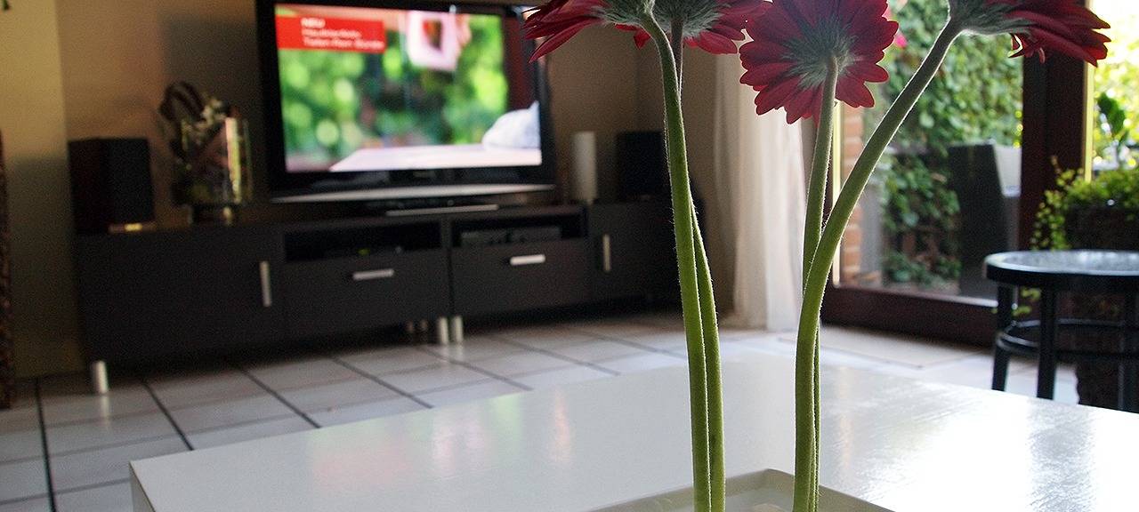 Das "richtige" Aufräumen: Aufräumcoach gibt Tipps