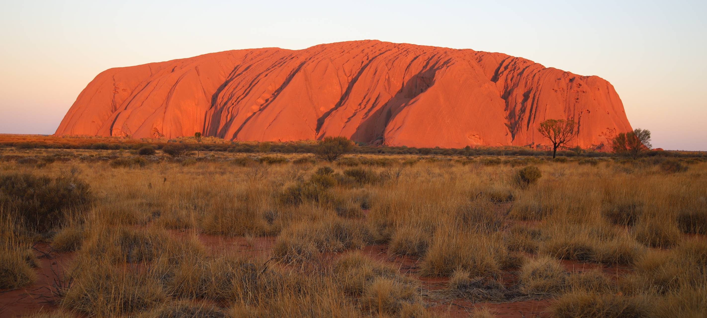 Radio Essen Australien Kötteritzsch Bridgestone World Solar Chamionship