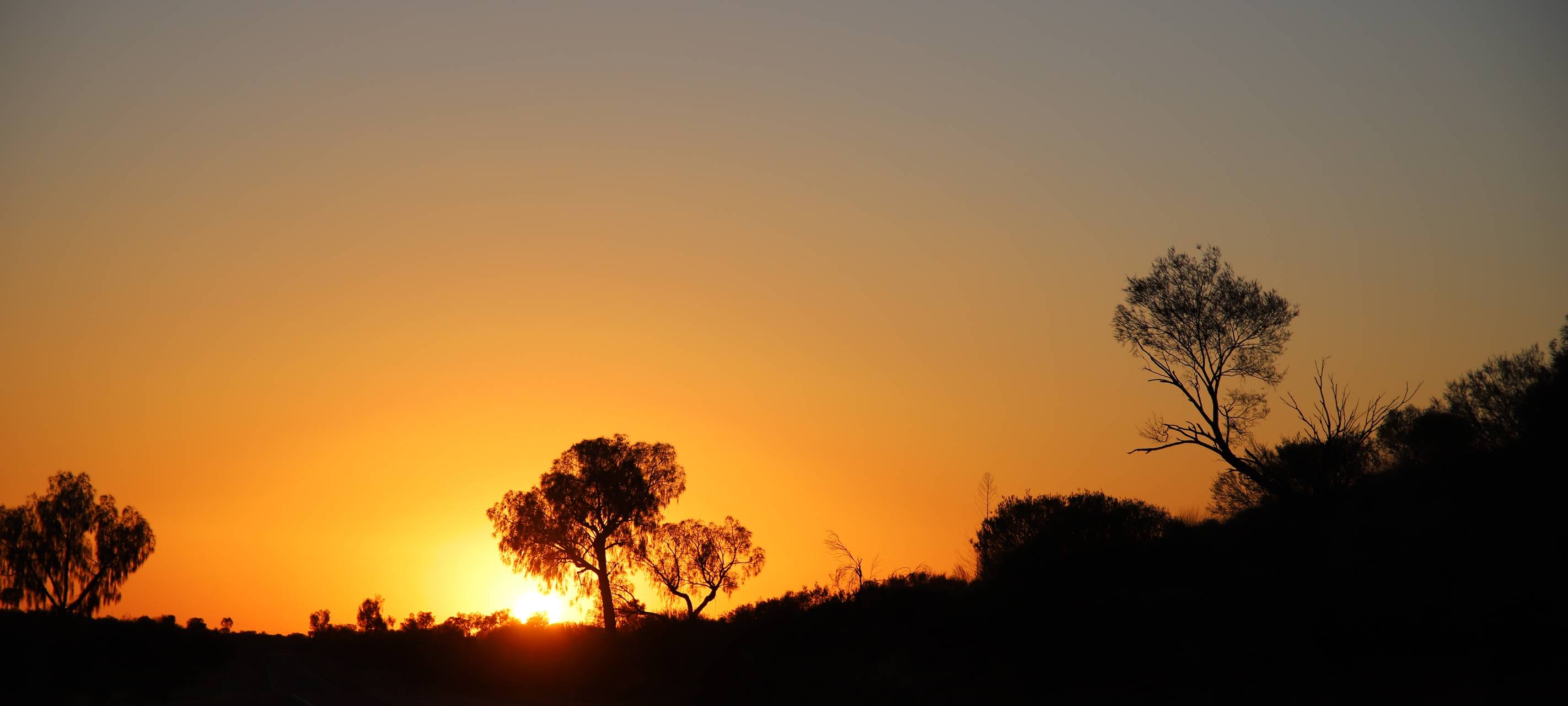 Radio Essen Australien Kötteritzsch Bridgestone World Solar Chamionship