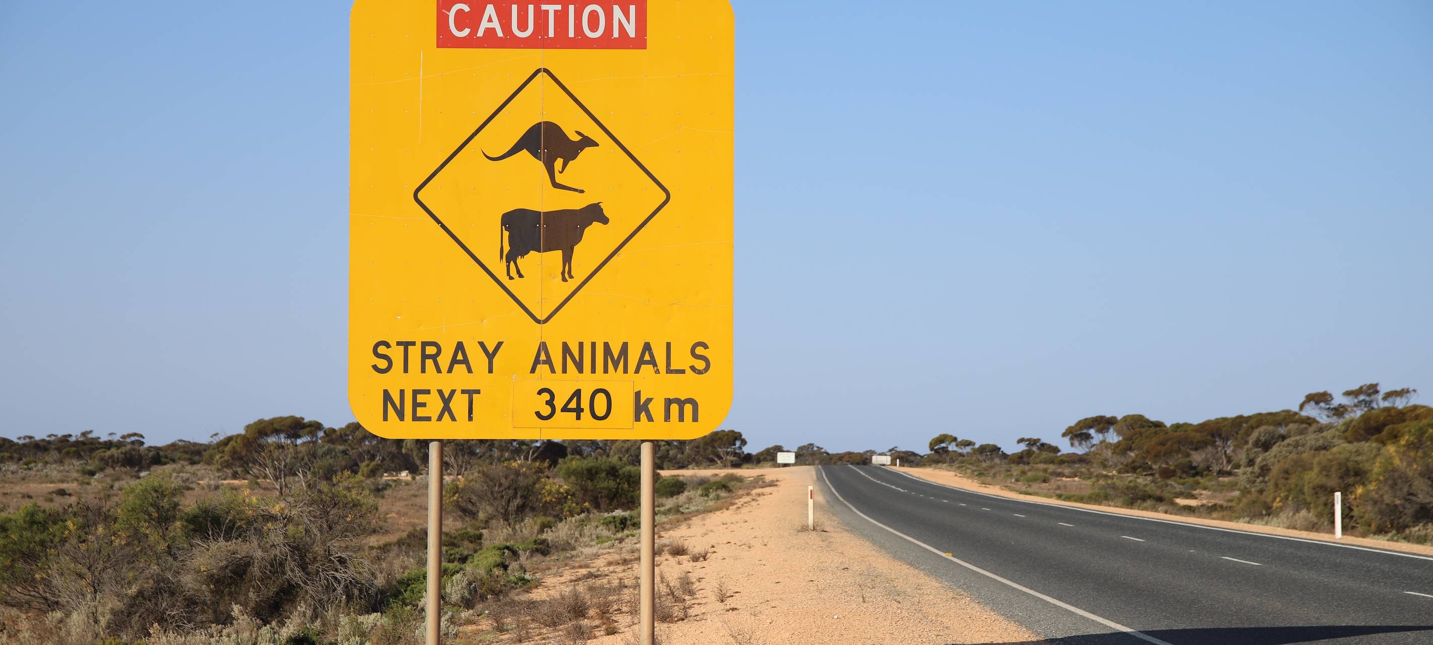 Radio Essen australien Kötteritzsch solarcarrallye