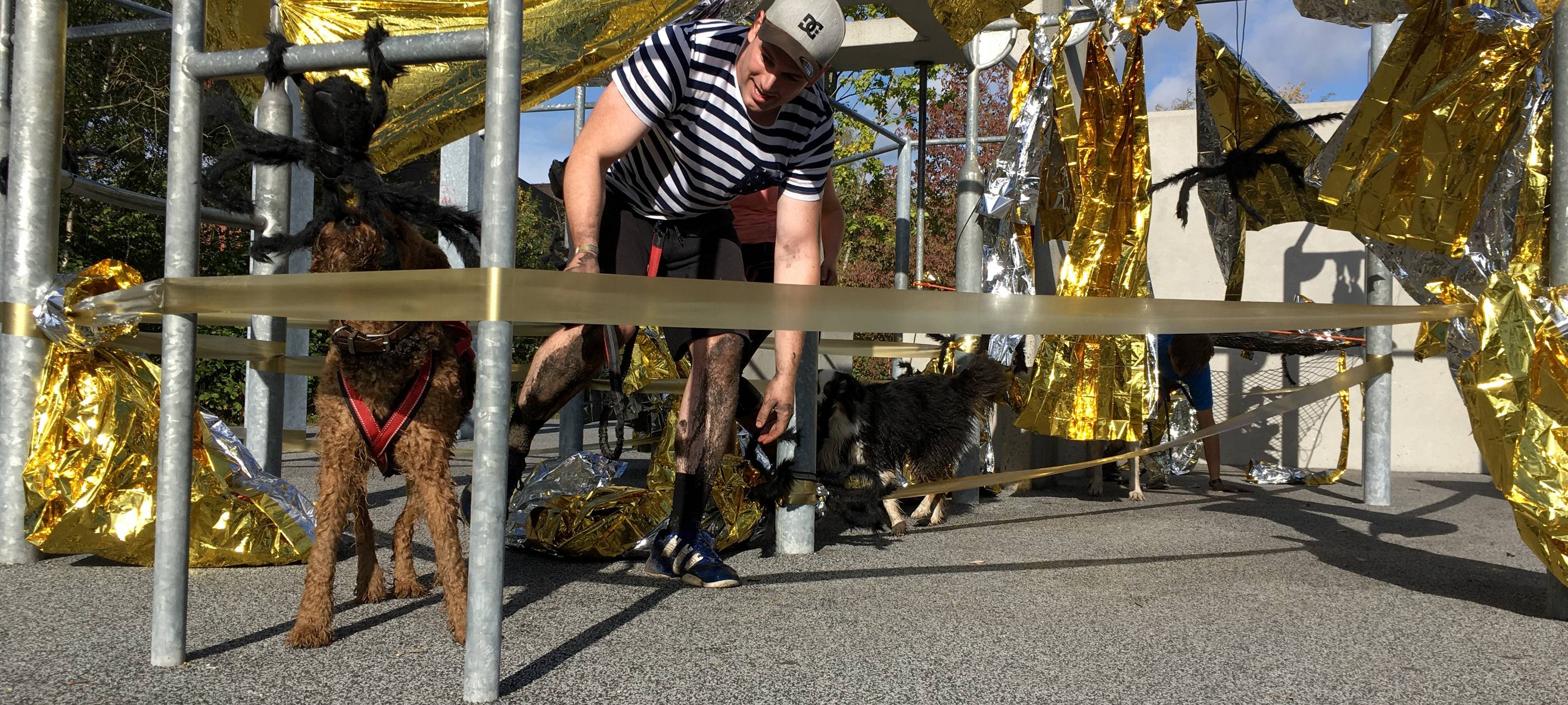 Labyrinth Tough Hunter