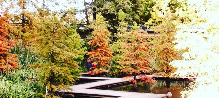 Grugapark in Essen startet in die Wintersaison