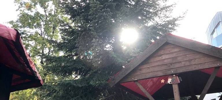Weihnachtsbaum Steeler Weihnachtsmarkt