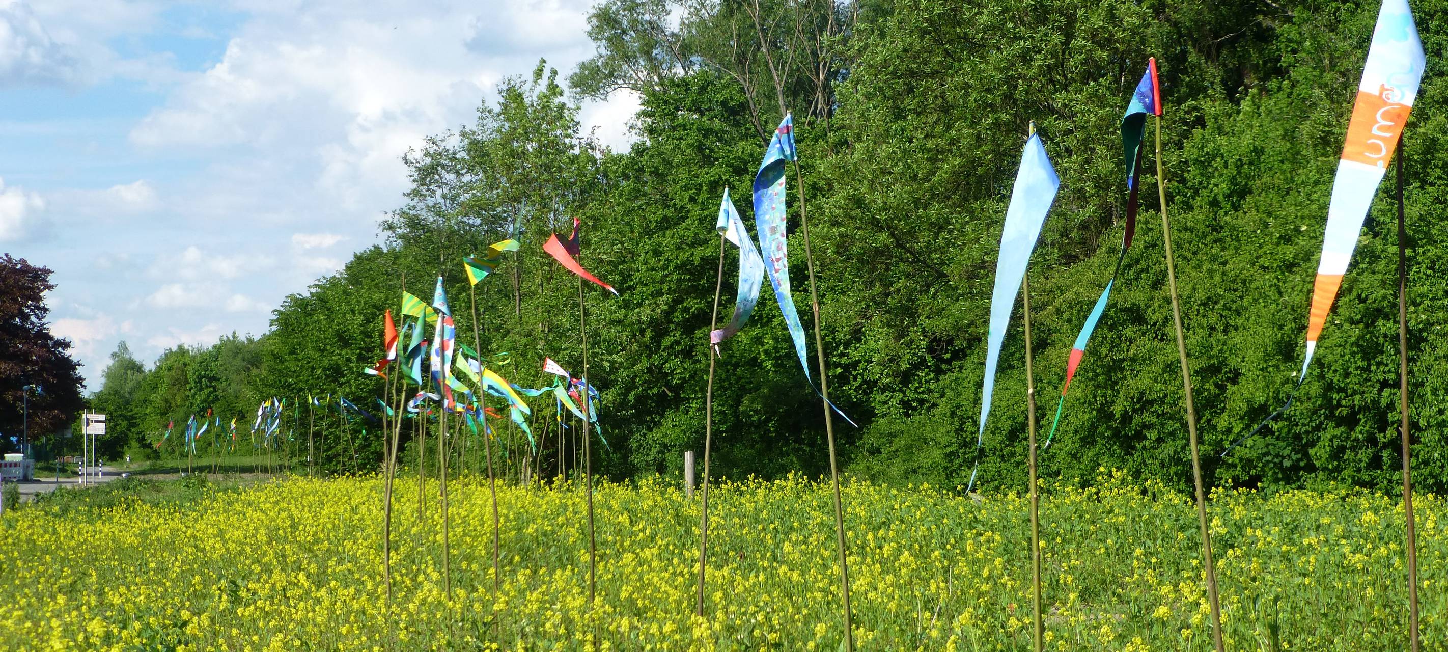 Sauberer Bach in Essen-Katernberg: Bäume müssen weg