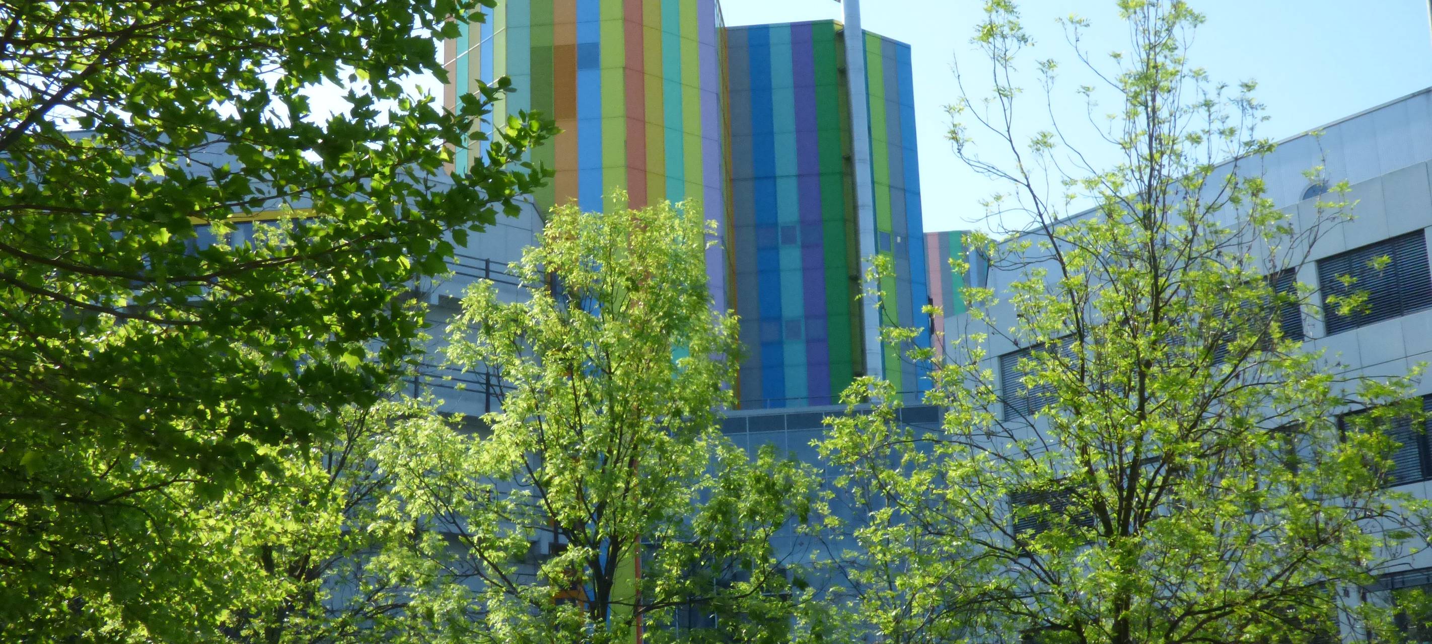 Essen bietet Hilfe für Studierende aus Ukraine an