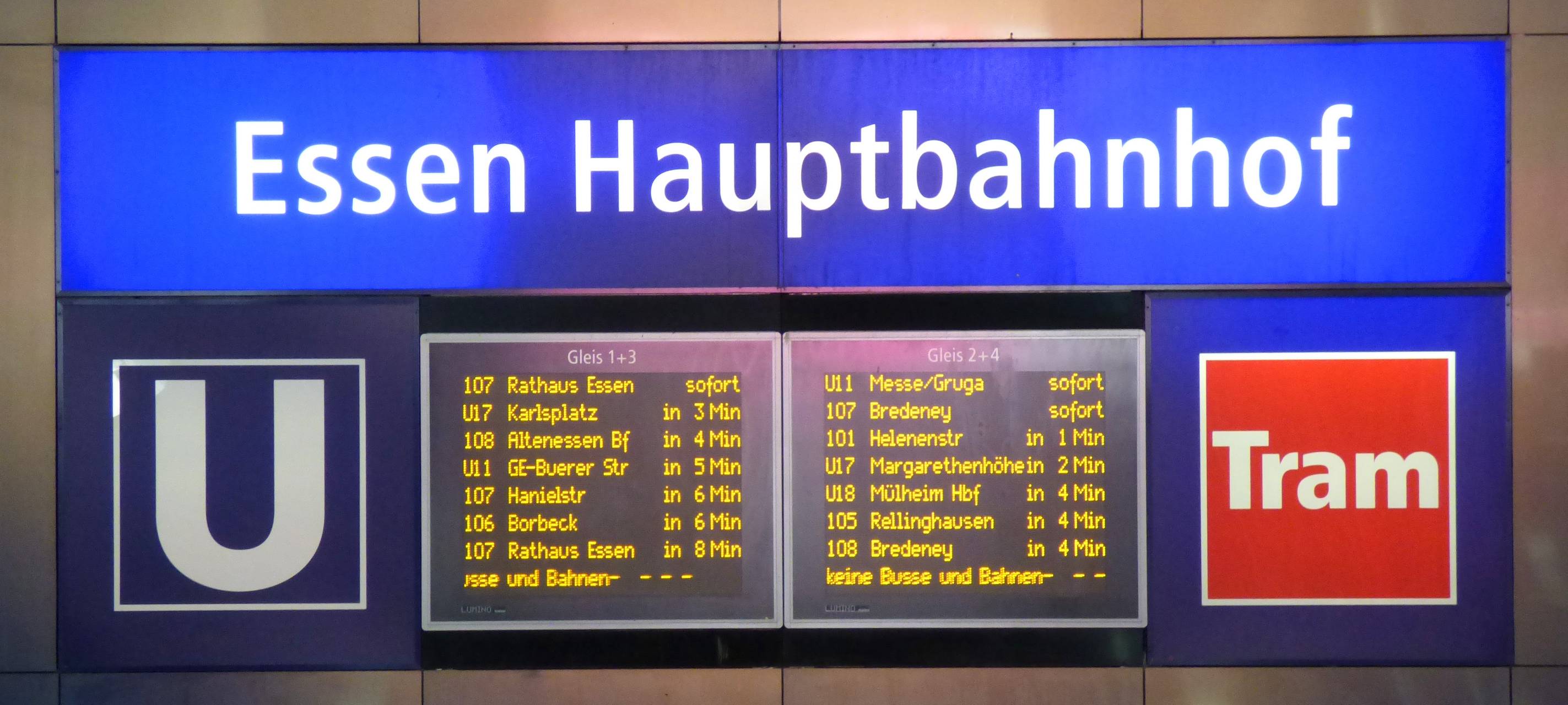 Essen: Bahnverspätungen wegen verletztem Hund