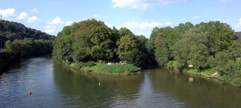 Tote Fische in Ruhr in Essen entdeckt