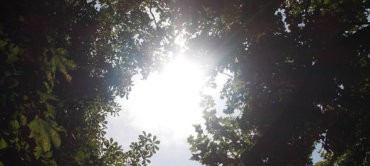 Nachhaltigkeit: So könnt ihr auch im Büro die Umwelt schonen