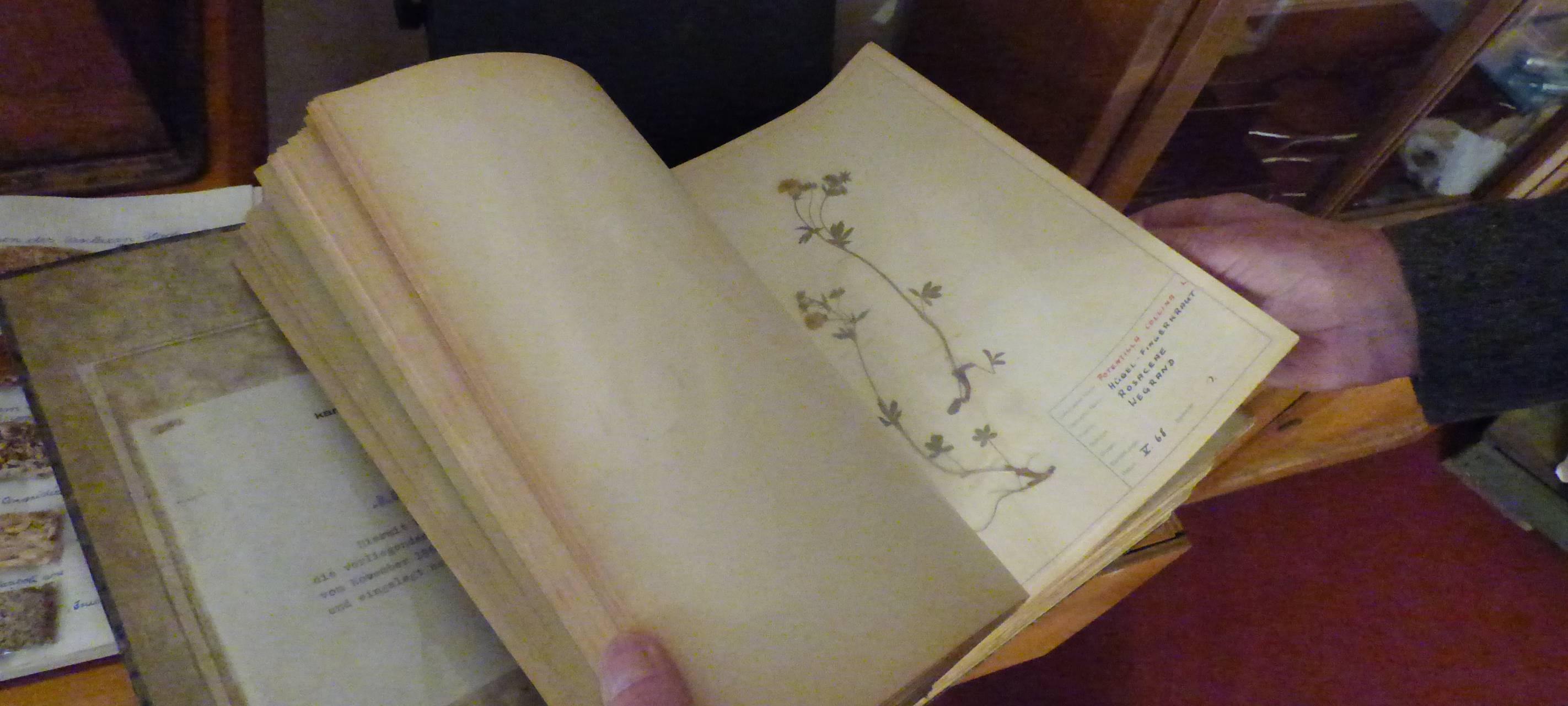 Historische Apotheke in Essen: Reichsadler-Apotheke in Rellinghausen feiert 150. Jubiläum