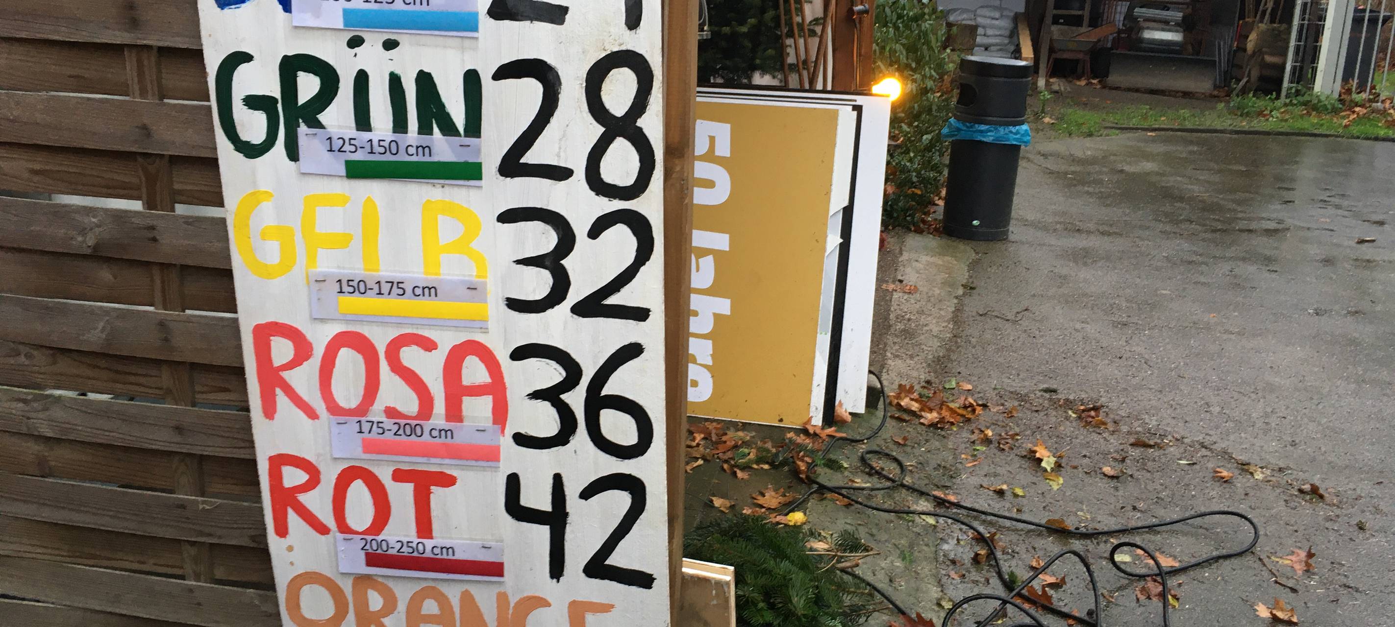 Essen: Schüler verkaufen selbstgeschlagene Weihnachtsbäume in Frohnhausen