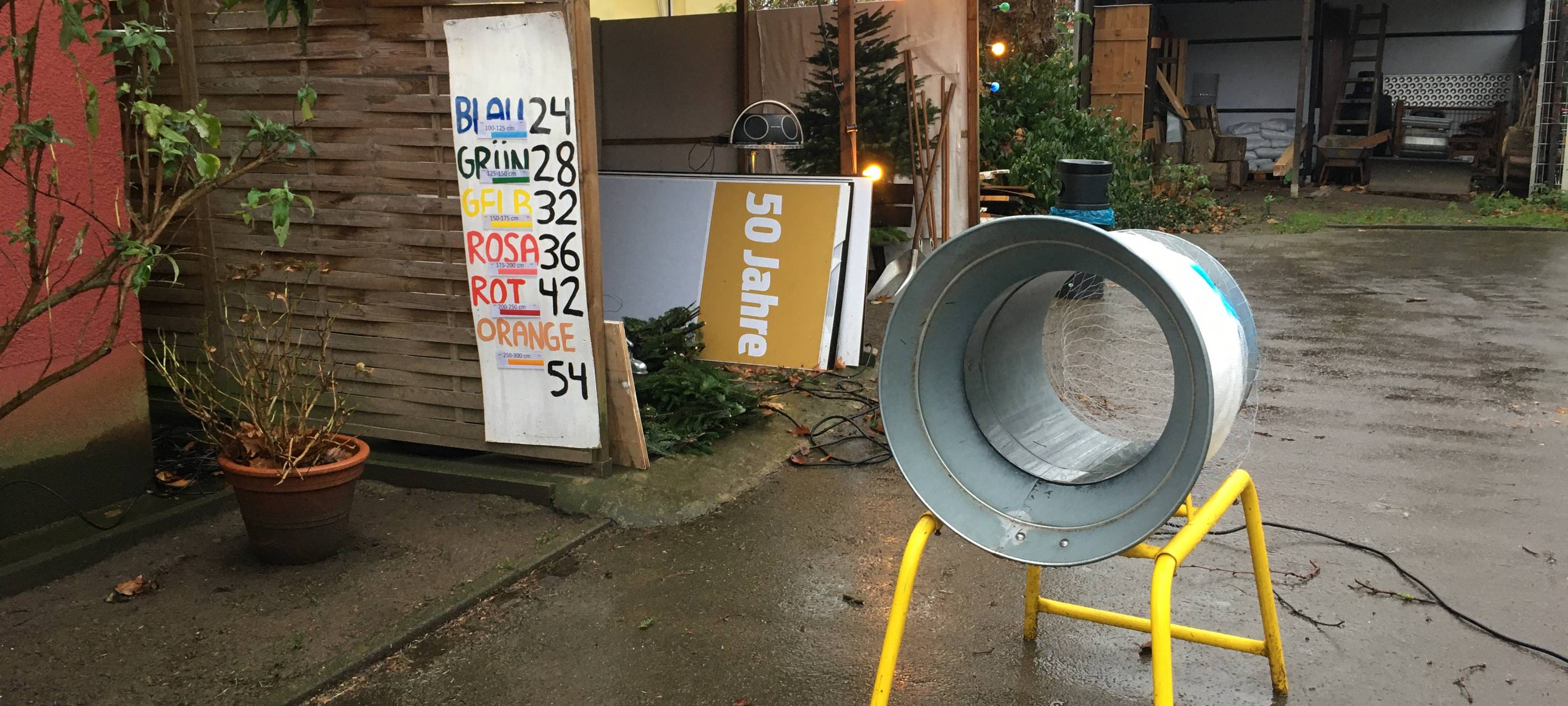 Essen: Schüler verkaufen selbstgeschlagene Weihnachtsbäume in Frohnhausen