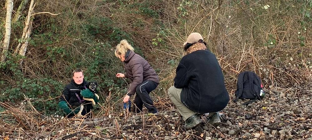 Tierschutzbund Essen: Suchhund findet verlorenen Hund