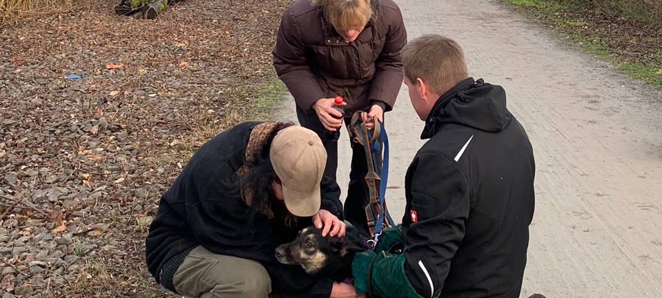 Tierschutzbund Essen: Suchhund findet verlorenen Hund