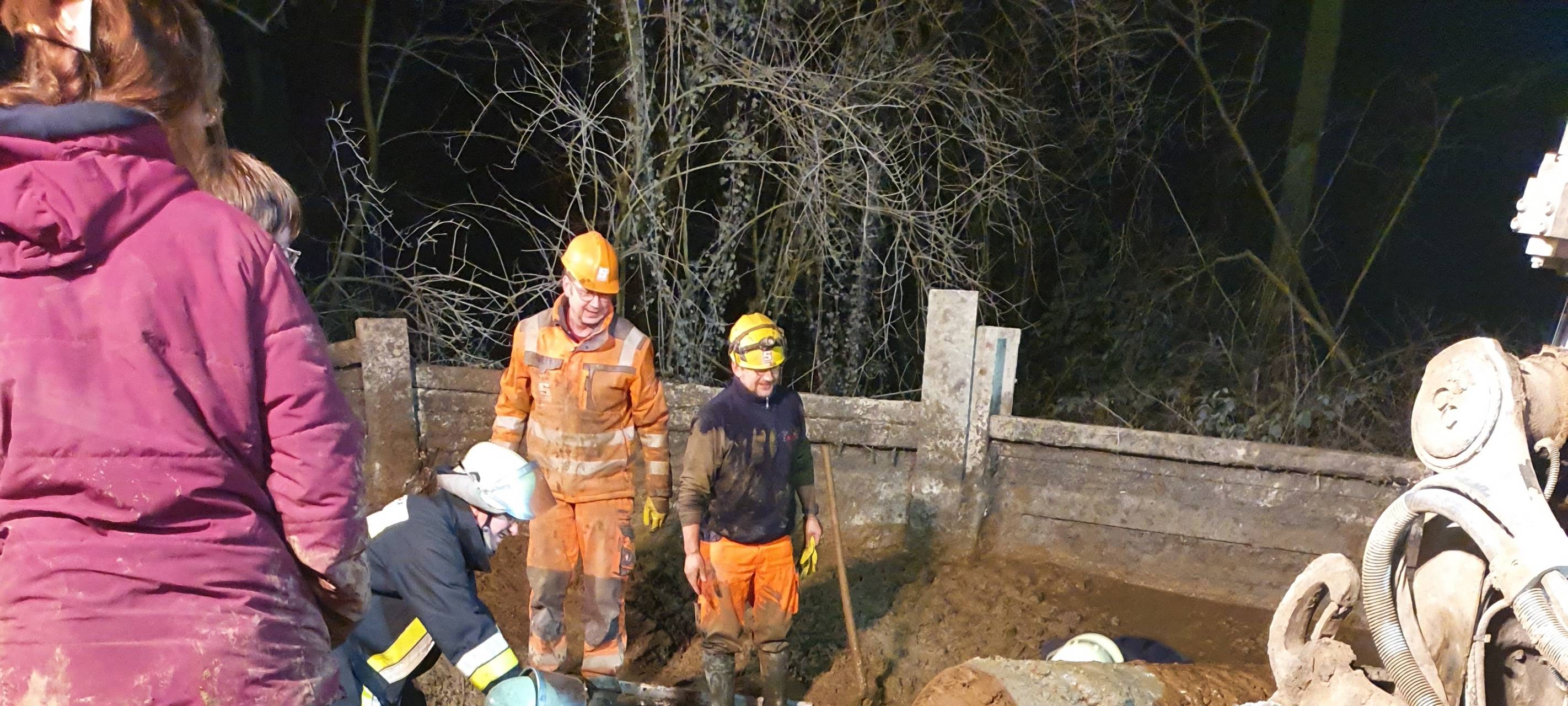 Feuerwehr Essen befreit Pferd aus Schlammgrube in Essen-Schuir