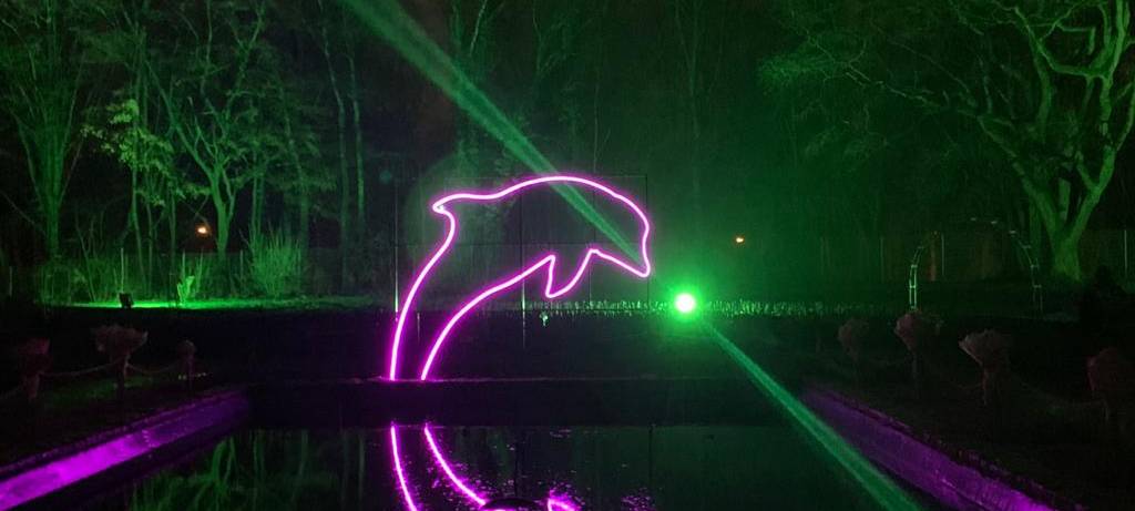 Essen: Parkleuchten im Grugapark - letzte Chance