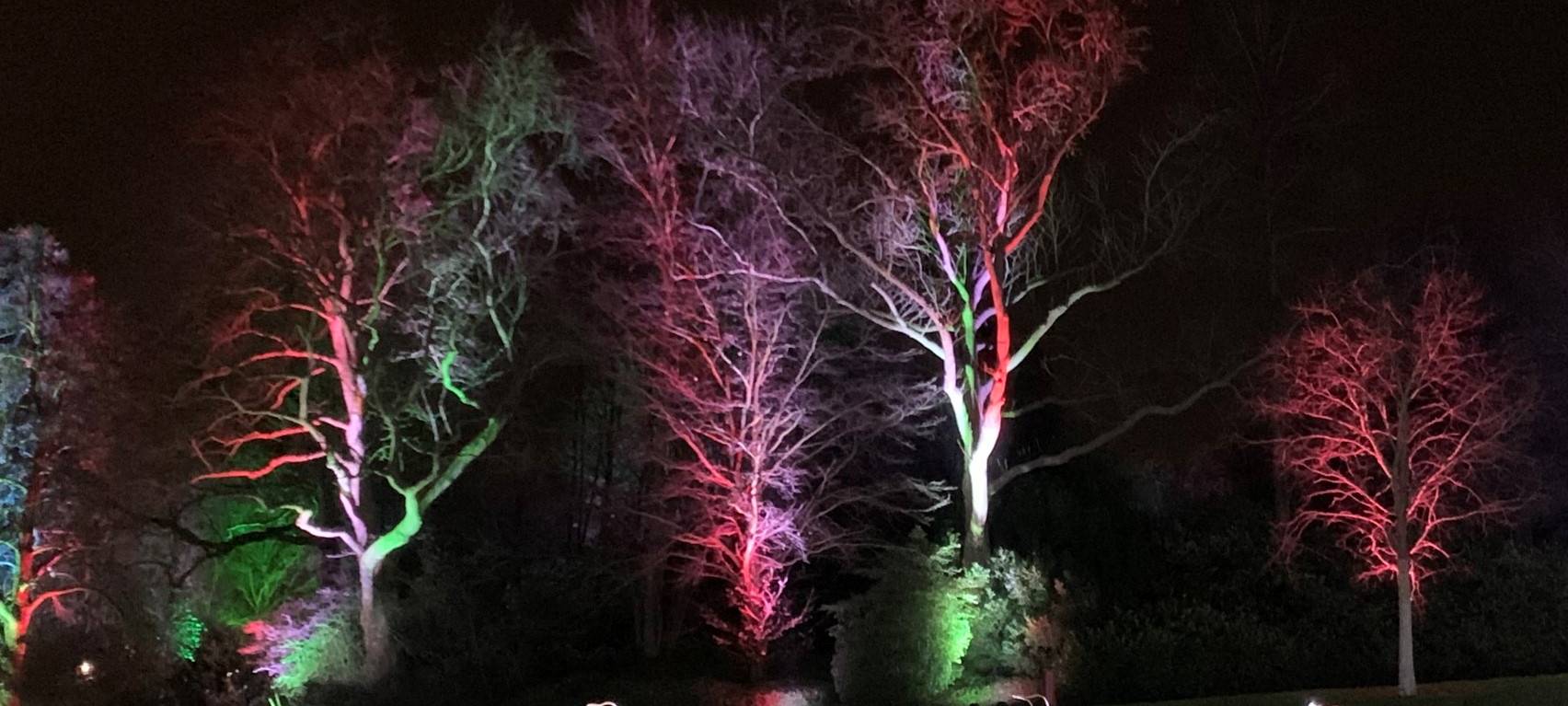 Essen: Parkleuchten im Grugapark - letzte Chance