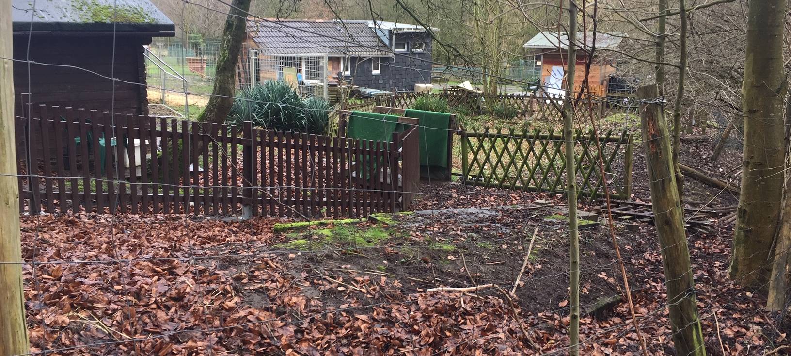 Das Wildgehege in Schonnebeck