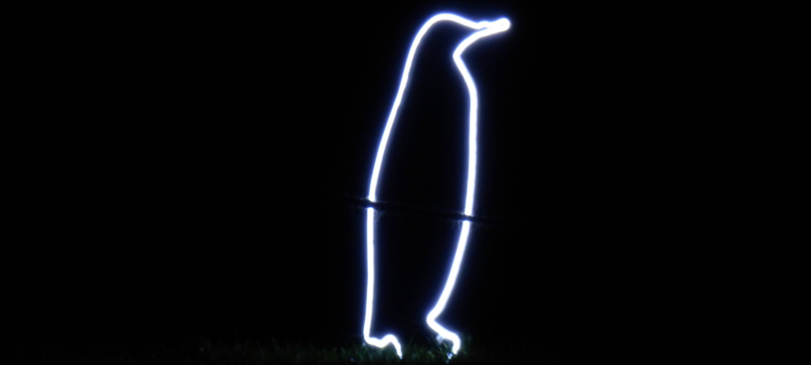 Parkleuchten im Grugapark Essen