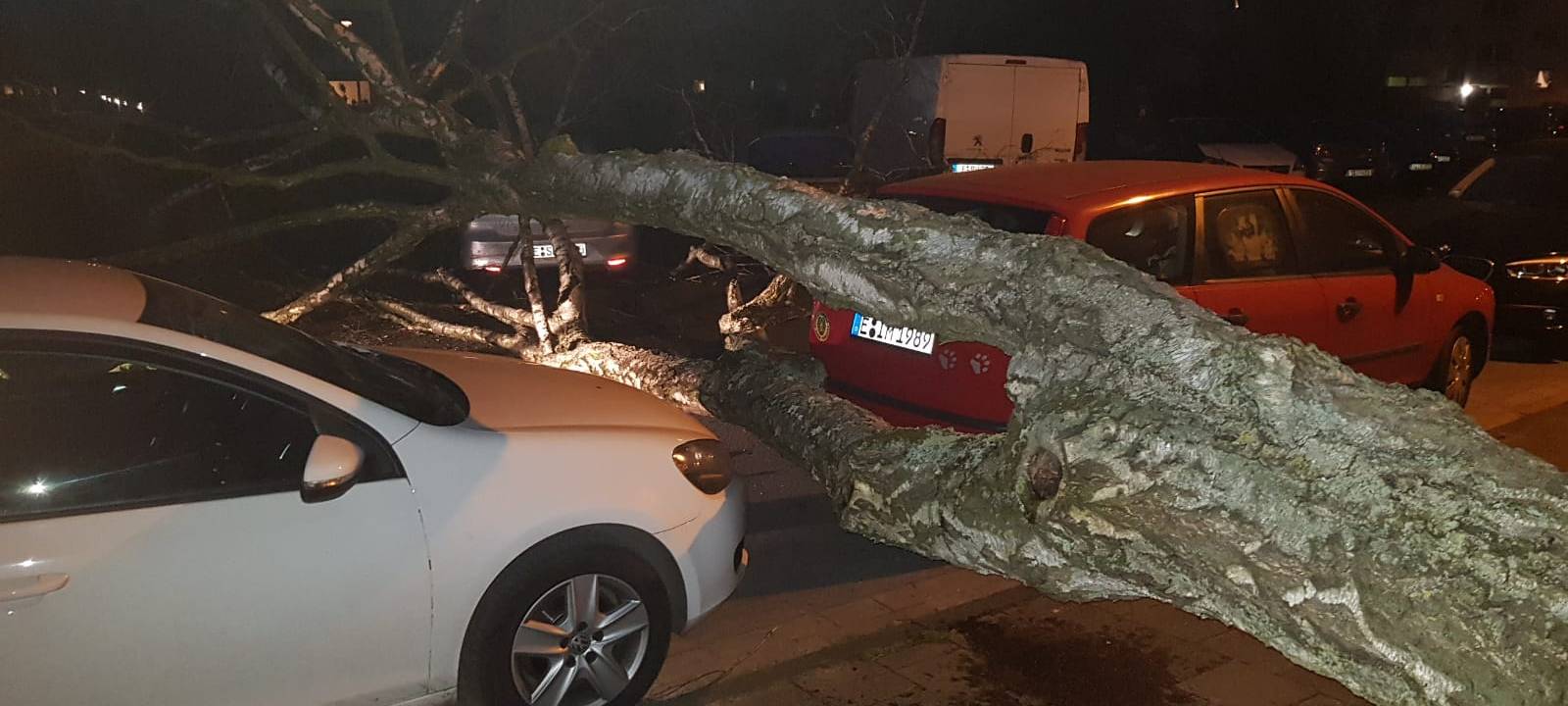 Essen: Sturm Sabine verursacht über 150 Feuerwehreinsätze - Bahn stellt Betrieb ein