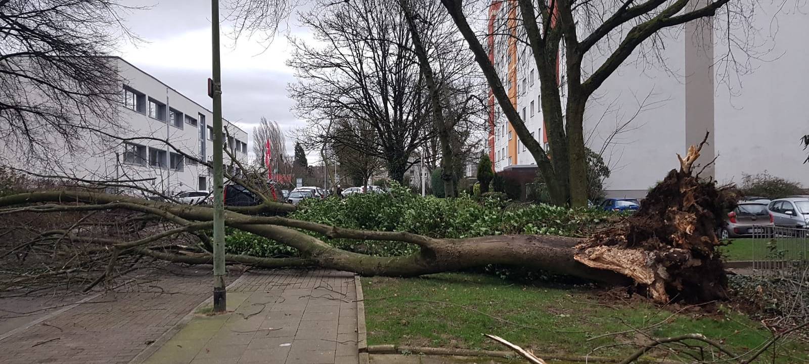 Sturm in Essen: Chaos bleibt aus - Wichtiges zu Bahn, Schulen, Kitas, Sport