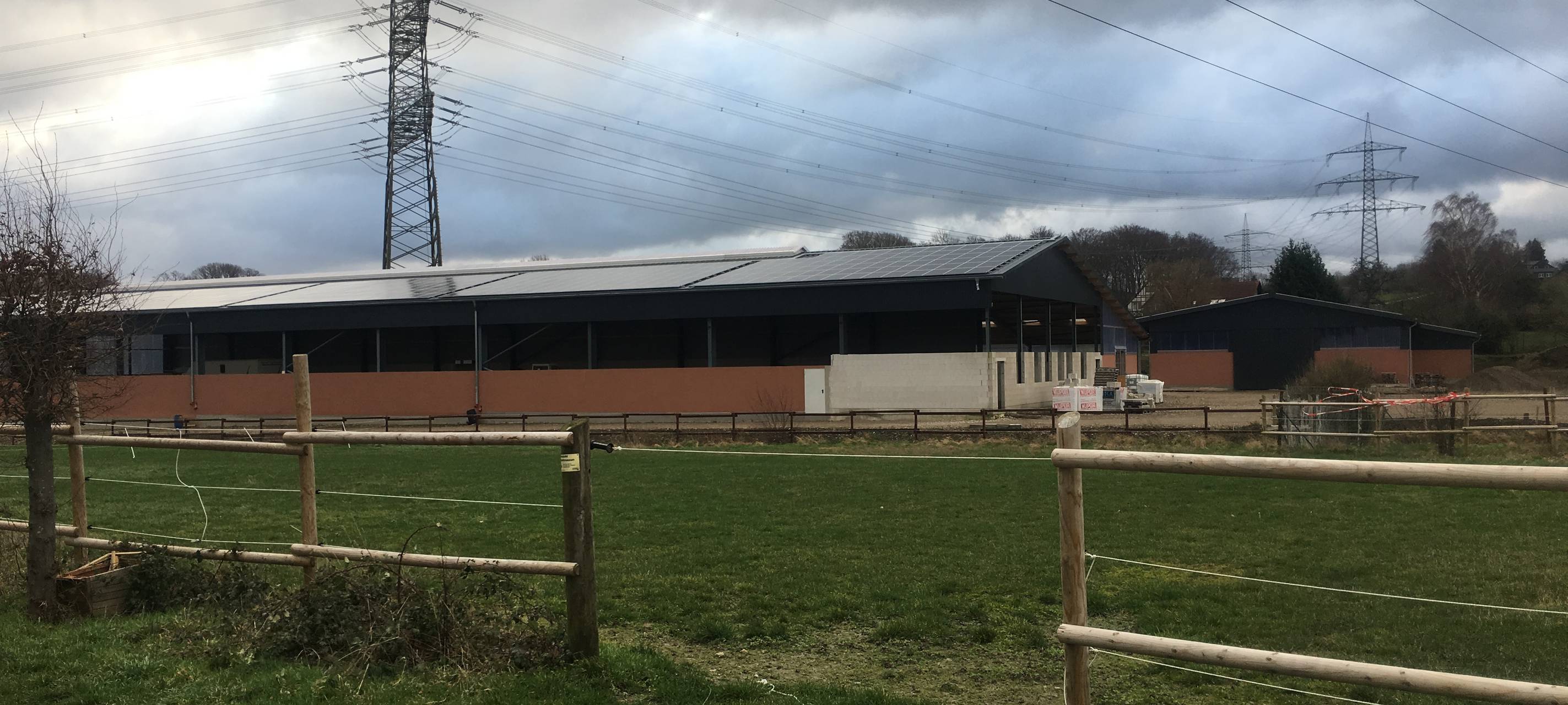 Steinkauz in Essen bedroht? NABU Ruhr schlägt Alarm wegen Reithalle in Byfang