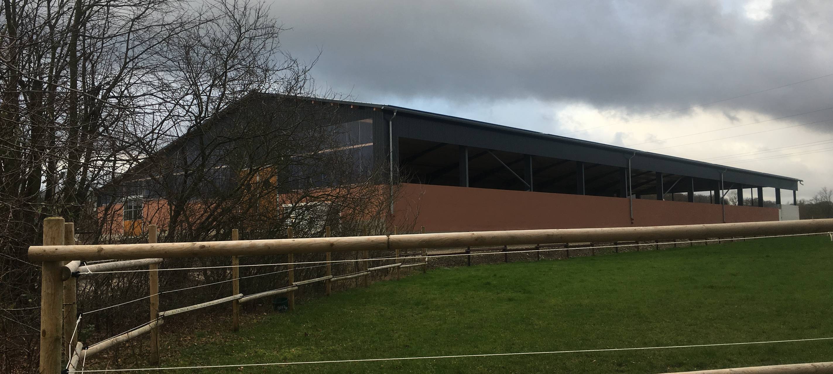 Steinkauz in Essen bedroht? NABU Ruhr schlägt Alarm wegen Reithalle in Byfang