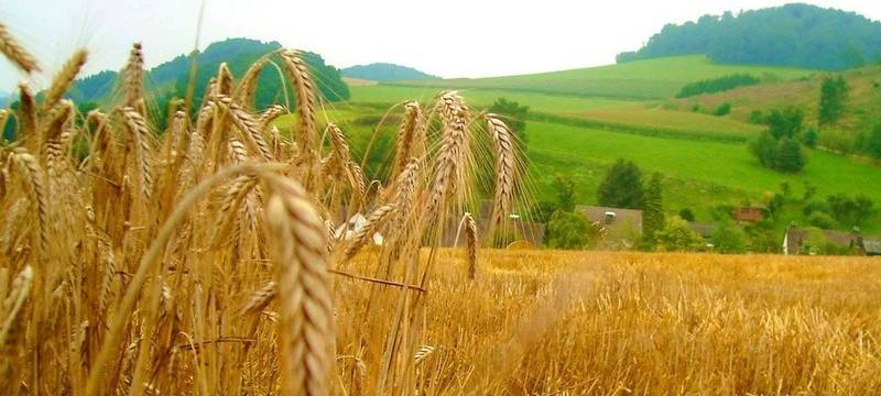 KJG Essen bei Nestlé in Frankfurt